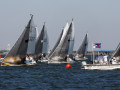 7 31ogrocki101