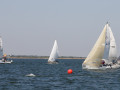7 31ogrocki102