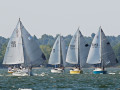 7 31ogrocki103