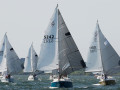 7 31ogrocki105