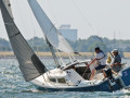 7 31ogrocki106