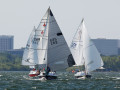7 31ogrocki108