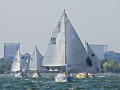 7 31ogrocki110