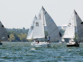 7 31ogrocki112