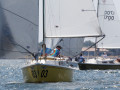 7 31ogrocki116