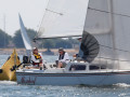 7 31ogrocki118