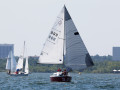 7 31ogrocki119