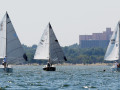 7 31ogrocki120