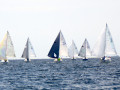 DSC 5773