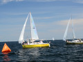 DSC 5837