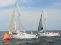 DSC 5870