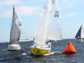DSC 5905