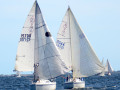 DSC 5709