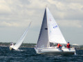 DSC 6168