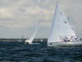 DSC 6169