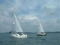 sport 29 2179