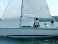 sport 31 2181