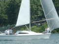 sport 33 2183
