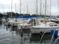 IMG 3718 3794