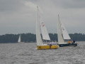 IMG 1955 3945