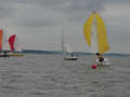 IMG 1963 3946