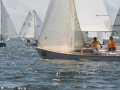 IMG 2067 3985