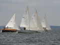 IMG 2159 4020