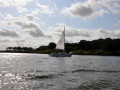 DSC 0008 4689