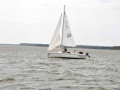 DSC 0125 4643