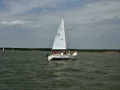DSC 0132 4650