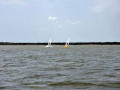 DSC 0133 4651
