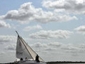 DSC 0036 4718