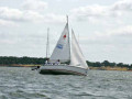 DSC 0042 4724