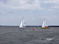 DSC 0136 4654