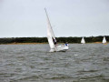 DSC 0145 4663