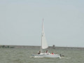 Monay Genoa 100 4625