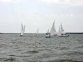 DSC 0118 4798