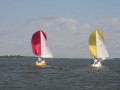 Tuesday Genoa   Spinnaker 088 4924