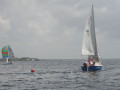 IMG 3532