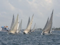 IMG 3552