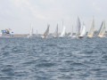 IMG 3559