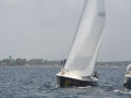IMG 3579