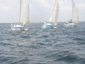 IMG 3598