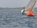IMG 3604