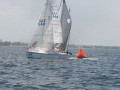 IMG 3613
