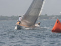 IMG 3626