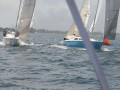 IMG 3631