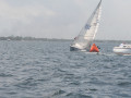 IMG 3633