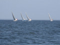 IMG 3654