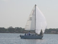 IMG 3661
